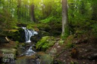 Naturaufnahme im Wald. Im Vordergrund reisigbedeckter Boden und mossbewachsene Steine, dahinter der Stamm eines wohl großen Baumes, er hat unten keine Äste. Links daneben fällt ein kleiner Bach über ein einige Steine herab und bildet einen malerischen kleinen Wasserfall. Durch Langzeitbelichtung ist die Gischt des Wasserfalls eingefangen und der Weg des Wassers die Steine hinab zu sehen. Um die zentrale Gruppe Wasserfall - Steine - Baumstamm herum breitet sich dichter Laubwald aus. Es scheint Frühling zu sein, das Grün wirkt frisch und jung. Im sehr naturbelassenen Wald ist sonst nichts spezifisches auszumachen, weder Wege noch Schilder oder Menschen, nur unterschiedlich große Bäume und Unterholz.