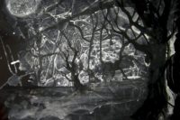 Schwarz-Weiß gehaltenes Bild, Wald und Vollmond, düster