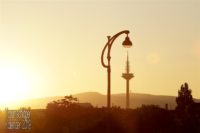 Landschaftsbild: Von links strahlt hellgelb die tiefstehende Sonne, fängt sich auch leicht in der Objektivlinse. Das Farbspektrum ist dadurch bestimmt und das ganze Bild zeigt sich nur in Gelbtönen und Abstufungen von "Schatten" in graubraun. Zentral im Bild sind mehrere senkrechte Objekte: Eine Straßenlaterne, der Ginnheimer Fernsehturm, der Turm auf dem Großen Feldberg. Je größer das Objekt in Wirklichkeit, desto kleiner erscheint es durch die Perspektive auf dem Foto