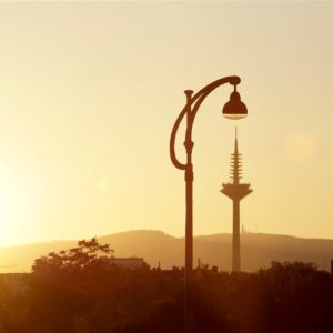 Landschaftsbild: Von links strahlt hellgelb die tiefstehende Sonne, fängt sich auch leicht in der Objektivlinse. Das Farbspektrum ist dadurch bestimmt und das ganze Bild zeigt sich nur in Gelbtönen und Abstufungen von "Schatten" in graubraun. Zentral im Bild sind mehrere senkrechte Objekte: Eine Straßenlaterne, der Ginnheimer Fernsehturm, der Turm auf dem Großen Feldberg. Je größer das Objekt in Wirklichkeit, desto kleiner erscheint es durch die Perspektive auf dem Foto