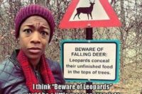 Ausgefallenes Warnschild: "Beware of falling deer: Leopards conceal their unfinished doof in the tops of trees", und dazu der Kommentar: "I think, 'Beware of Leopards' would be a little more appropriate"