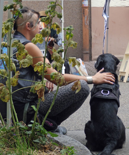 ein junger Mann mit Punk-Frisur sitzt auf dem Bordstein und streichelt mit der rechten Hand einen schwarzen Hund, der mit dem Rücken zum Betrachter neben ihm sitzt