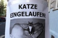 Scherzbild: Hausgemachter Aushang an einem Laternenpfahl. Bild zeigt eine schwarz-weiße Katze in einer Männerhand - offenbar lediglich so groß wie der Daumen der Hand. Überschrift: "Katze eingelaufen!"