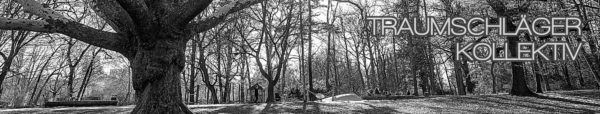 Schwarz-Weiß-HDR-Foto von einem Park. Beherrscht von einem großen Baum links vorne, durch die kahlen Äste blitzt die Sonne ins Objektiv.