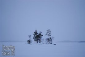 Landschaftsaufnahme. Es liegt Schnee, und es ist leicht neblig, fast das ganze BIld ist weiß, nur in der Bildmitte stehen 5 Bäume und ein paar Büsche. Die Laubgewächse sind kahl, zwei Tannen tragen ihre Nadeln. Im schwachen Tageslicht heben sich die Bäume nur schwarz gegen die Umwelt ab.